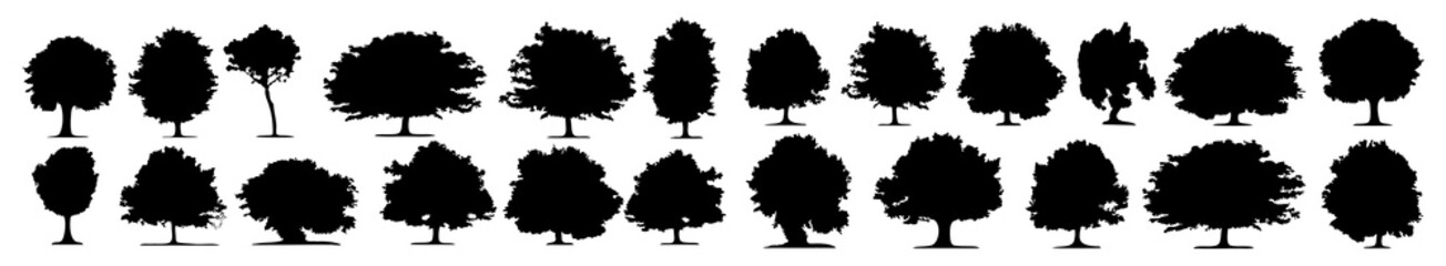 Black tree silhouettes. Detailed tree silhouettes - Illustration, Trees' silhouettes. Trees, Bushes, Grass. 