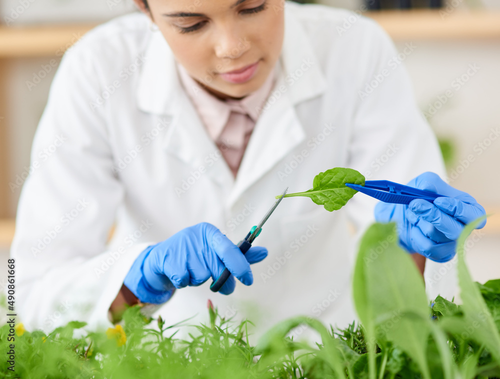 Poster This needs a trim before I can do some testing. Shot of a young scientist working with plant samples in a lab.