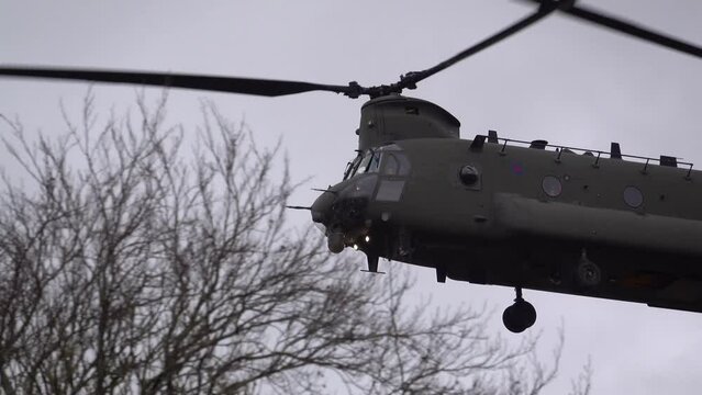 close up of an RAF Chinook CH-47 tandem rotor helicopter descending to land behind trees, in action on a military battle exercise, Wilts UK
