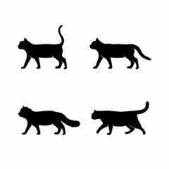 cat silhouette isolated on white background. vector illustration eps 10