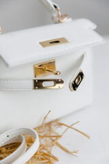 Fashionable women's small leather clutch bag with strap. Isolated on a white background. Traditional clutch bag with a brooch. Gold hardware. Close-up details of the bag. Bottom, handles, strap, clasp
