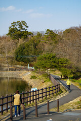 湖の周りを1周する健康ウオーキングの日課