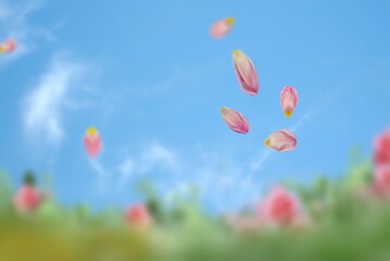 Fototapety na wymiar - Fototapeta24.pl