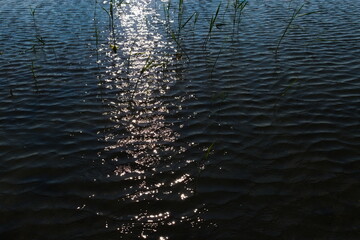 reflection in water