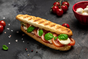 Pressed and toasted panini caprese with tomato, mozzarella and basil, Caprese Panini Sandwich....