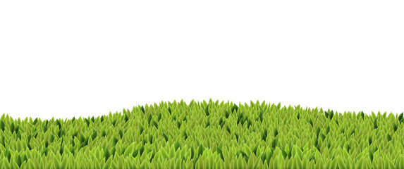 Green abstract background, grass or moss.