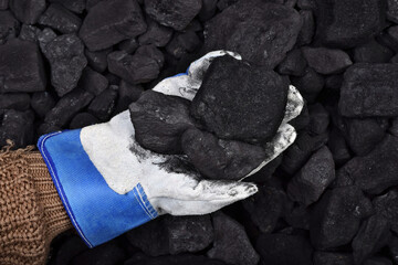 The miner hold and show cubes of coal in hand as concept on coal of mine deposit mineral resources background