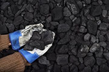 The miner hold and show cubes of coal in hand as concept on coal of mine deposit mineral resources...