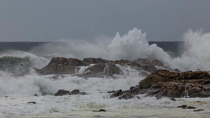 Big sea wave splash