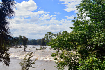 The Nepean River bursts its banks at Penrith in Sydney's west