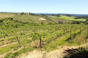 Fototapeta na wymiar View of rural landscape in Tuscany