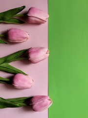 Pattern of pink tulips on black concrete background with green copy space. Spring flatlay with copy space. Day of Earth.