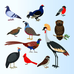 country and city birds vector set