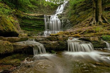 waterfall in the forest