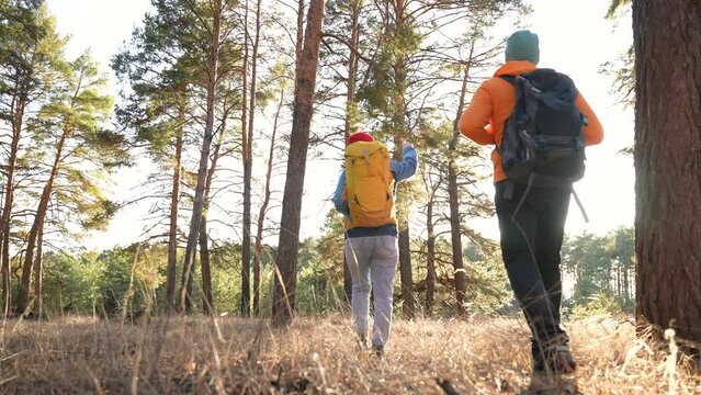 Teamwork. a group of hikers tourists walk through the forest with backpacks. team together travel teamwork business concept unity. man and woman hikers walking through the woods. hiker in the woods