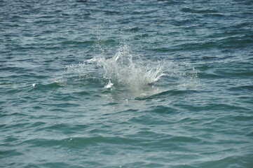 Naklejka premium Travel