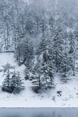 winter season, sunnet lake and snowy landscape
