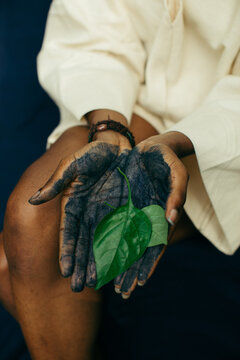 hands of a person holding an indigo plant