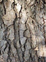 texture