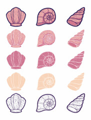 Beautiful Line Art Seashells Graphic Design Set
