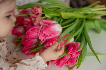 Baby girl smelling pink borate of tulips and touching.