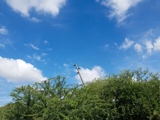 An electric pole leans in the middle of the woods about to fall