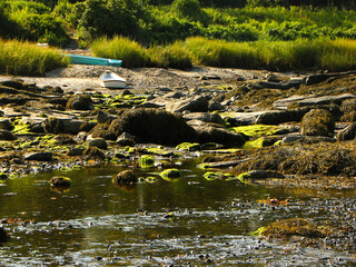Little cove at low tide