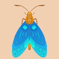 moth blue boho illustration