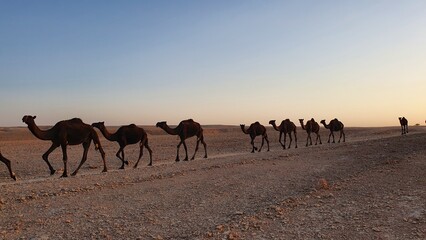 Fototapeta na wymiar Edge of the world, Riad, Saudi-Arabien