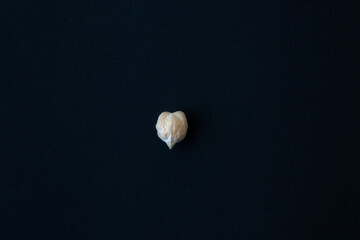 One light heart shaped chickpea on a dark blue plate background, top view, macro