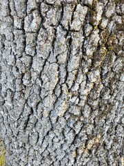 texture