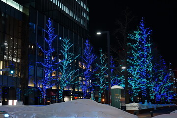日本 北海道 札幌 雪道 街並み ライトアップ