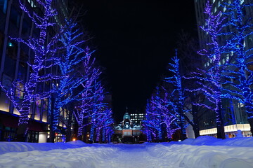 日本 北海道 札幌 北海道庁 旧本庁舎 赤れんが庁舎 ライトアップ