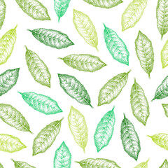 Matcha green tea leaves. Seamless pattern. Realistic vector sketch. Ornament in engraving style. Bitmap style. Hand-drawn pointillism background.