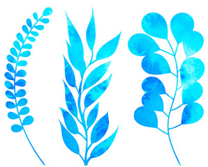 leaf, plants watercolor silhouette isolated