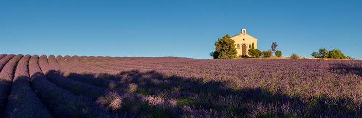 Provence in Summer with lavender. Entrevennes chapel in the Alpes-de-Haute-Provence, France