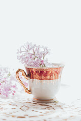 Obraz na płótnie Canvas Retro tea cup with lilac flowers in it. Home decoration. Springtime vibes