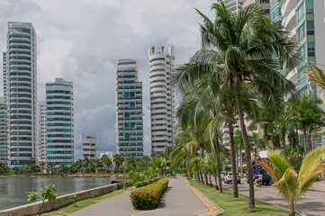 Fototapeta na wymiar View of a pedestrian promenade surrounded by palm trees. 