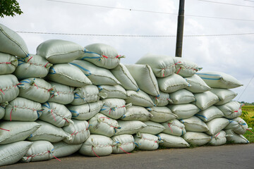 Piles of white rice sacks harvested from the rice fields by the roadside which will be transported...