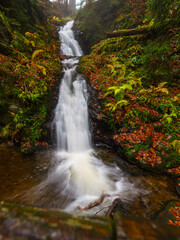 Fototapeta na wymiar Todtmooser Wasserfall