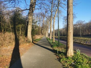 path in the park