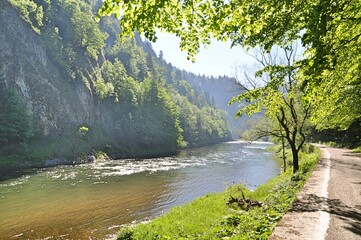 Rzeka Dunajec, Pieniński Park Narodowy, woda, zieleń, - obrazy, fototapety, plakaty