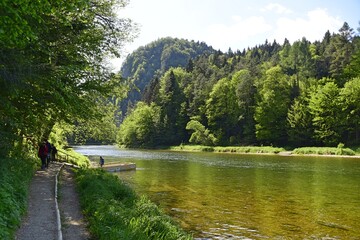 Fototapeta na wymiar Rzeka Dunajec, Pieniński Park Narodowy, woda, zieleń,