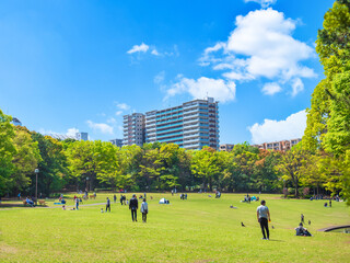 青空が広がる住宅街の公園