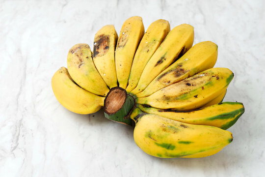 Pisang Kepok Kuning (musa acuminata)