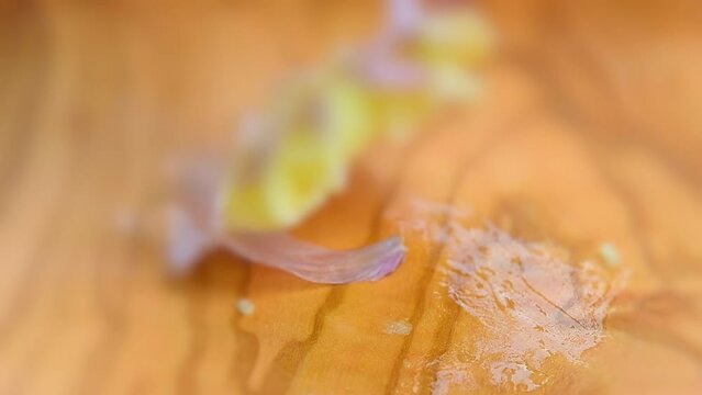 Crushing a garlic clove, slow-motion