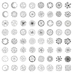 Trees for the master plan. Tree for architectural floor plans. Entourage design. Various trees, bushes, and shrubs, top view for the landscape design plan. Vector illustration.