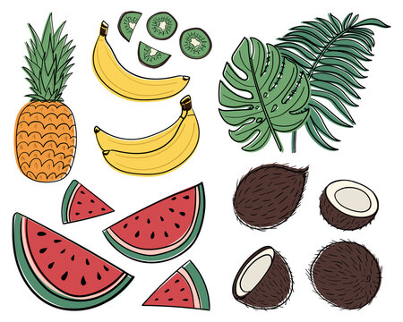 Set of tropical fruits and tropical leaves. Banana, coconut, watermelon, kiwi, pineapple and tropical leaves. Vector image in doodle style. 