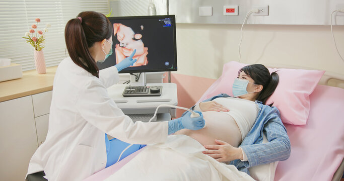 uterus utltrasonographic diagnosis