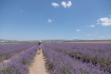 A little girl ran into a lavender field. Summer sunny landscape.